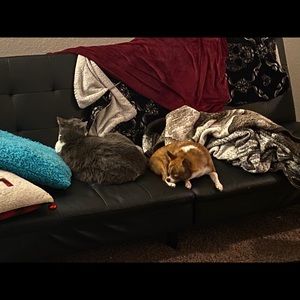 Meet your Posher, Grace